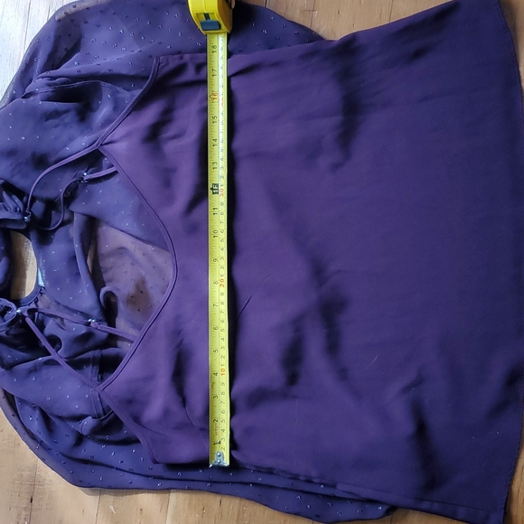 Point Sur sheer aubergine blouse & cami - Picture 9 of 12